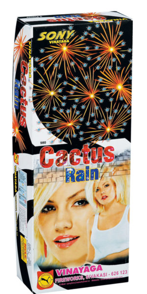 Cactus Rain - fancy